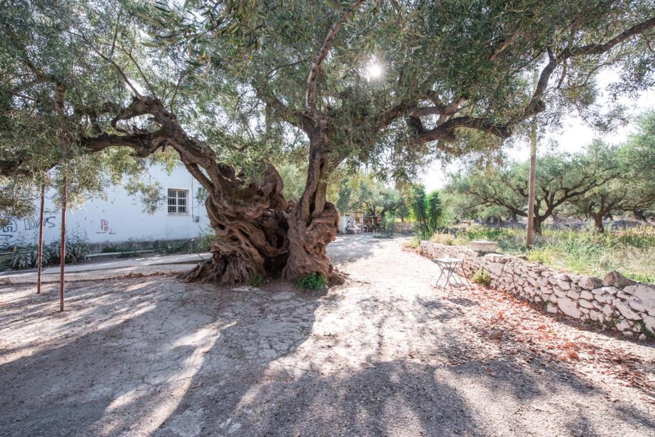 Casa Di Vitalo Kampi (Zakynthos)